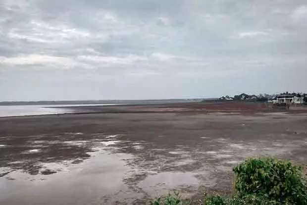 आर्द्रभूमि प्राधिकरण Tamil Nadu के जल निकायों में विदेशी प्रजातियों के आक्रमण का आकलन करेगा आर्द्रभूमि प्राधिकरण Tamil Nadu के जल निकायों में विदेशी प्रजातियों के आक्रमण का आकलन करेगा