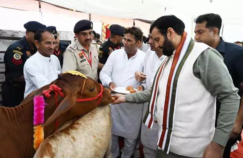 CM ने फतेहाबाद की गौशालाओं को 7 करोड़ रुपये का अनुदान दिया CM ने फतेहाबाद की गौशालाओं को 7 करोड़ रुपये का अनुदान दिया