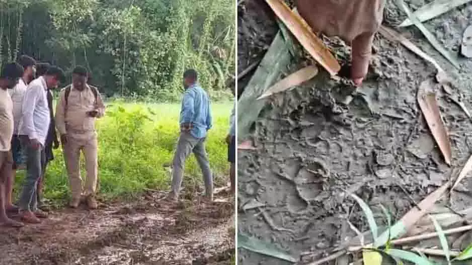 Odisha: पिपिली में अज्ञात पैरों के निशान से दहशत, बाघ होने की चर्चा Odisha: पिपिली में अज्ञात पैरों के निशान से दहशत, बाघ होने की चर्चा