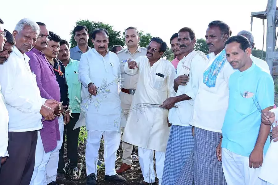 Kalaburagi : विधायक अल्लामा प्रभु ने फसल क्षति का निरीक्षण किया Kalaburagi : विधायक अल्लामा प्रभु ने फसल क्षति का निरीक्षण किया