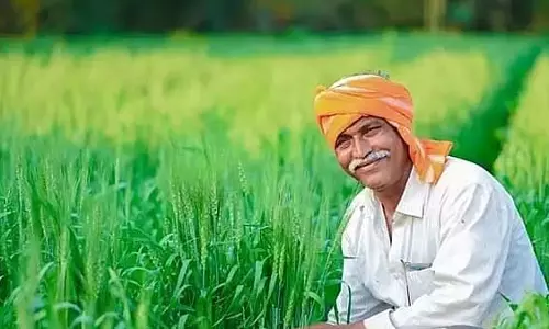 अलीबाग के किसानों से औद्योगिक सड़क भूमि अधिग्रहण के लिए 29 अगस्त तक सहमति पत्र जमा करने को कहा गया