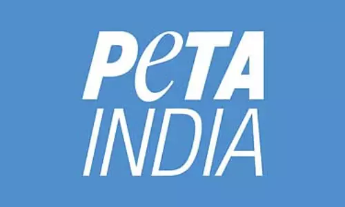 कबूतरों को दाना खिलाना मानवीय है: कबूतरखाना विवाद पर PETA इंडिया ने फडणवीस को लिखा पत्र कबूतरों को दाना खिलाना मानवीय है: कबूतरखाना विवाद पर PETA इंडिया ने फडणवीस को लिखा पत्र