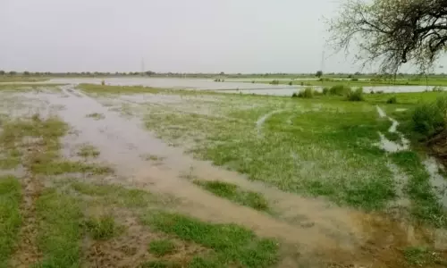 Hathras: यमुना के बढ़ते जलस्तर से कृषि प्रभावित