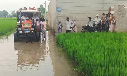 बाढ़ प्रभावित गांवों में विशेष गिरदावरी में तेजी लाएं: Agriculture Minister बाढ़ प्रभावित गांवों में विशेष गिरदावरी में तेजी लाएं: Agriculture Minister