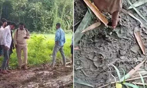 Odisha: पिपिली में अज्ञात पैरों के निशान से दहशत, बाघ होने की चर्चा Odisha: पिपिली में अज्ञात पैरों के निशान से दहशत, बाघ होने की चर्चा