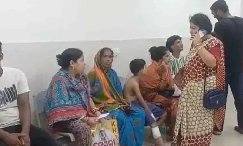 Bhadrak: कुत्तों के काटने से दहशत, 3 बच्चों समेत 5 घायल