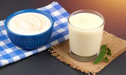 दही या छाछ... मानसूनी सीजन में बेहतर विकल्प क्या?