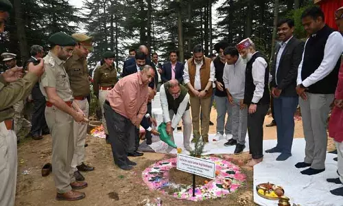 Chief Justice: वनों की सुरक्षा के लिए वृक्षारोपण अभियान महत्वपूर्ण