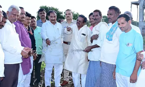 Kalaburagi : विधायक अल्लामा प्रभु ने फसल क्षति का निरीक्षण किया
