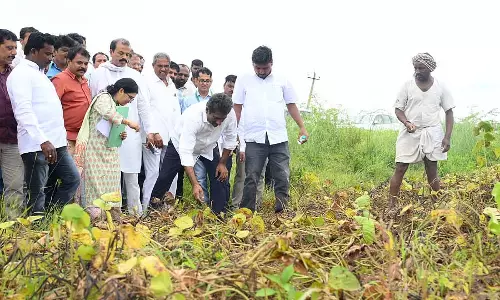 एक सप्ताह के भीतर सर्वेक्षण पूरा कर मुआवजा वितरित किया जाएगा: मंत्री रहीम खान एक सप्ताह के भीतर सर्वेक्षण पूरा कर मुआवजा वितरित किया जाएगा: मंत्री रहीम खान
