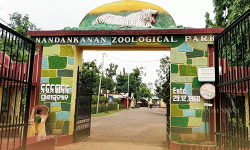 Nandankanan  प्राणी उद्यान में सफ़ेद बाघ शावक की मौत
