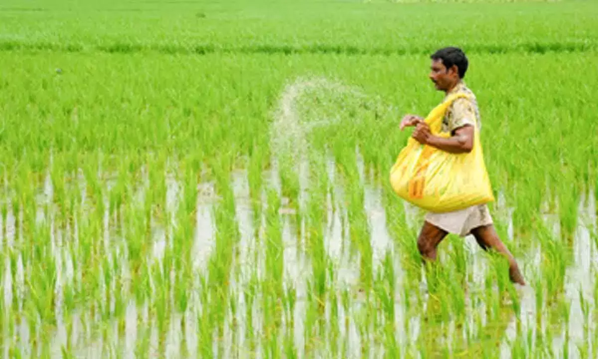 Telangana के मंत्री ने किसानों को आश्वासन दिया, यूरिया की कोई कमी नहीं Telangana के मंत्री ने किसानों को आश्वासन दिया, यूरिया की कोई कमी नहीं