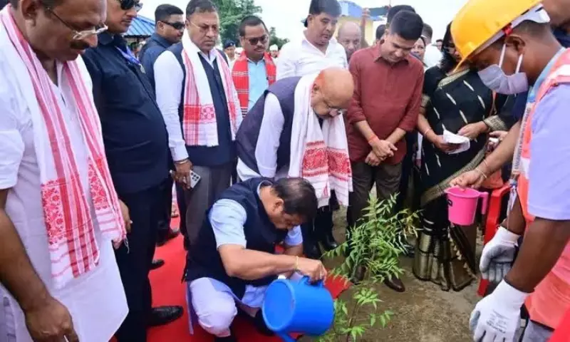 Assam सीएम का पौधारोपण अभियान, संरक्षणवादियों ने मांगी ठोस कार्रवाई Assam सीएम का पौधारोपण अभियान, संरक्षणवादियों ने मांगी ठोस कार्रवाई