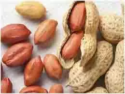 Peanuts Benefits:मूंगफली के सिद्ध स्वास्थ्य लाभ Peanuts Benefits:मूंगफली के सिद्ध स्वास्थ्य लाभ