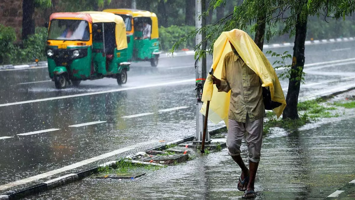 MP : ग्वालियर, सागर, जबलपुर समेत 20 जिलों में भारी बारिश MP : ग्वालियर, सागर, जबलपुर समेत 20 जिलों में भारी बारिश