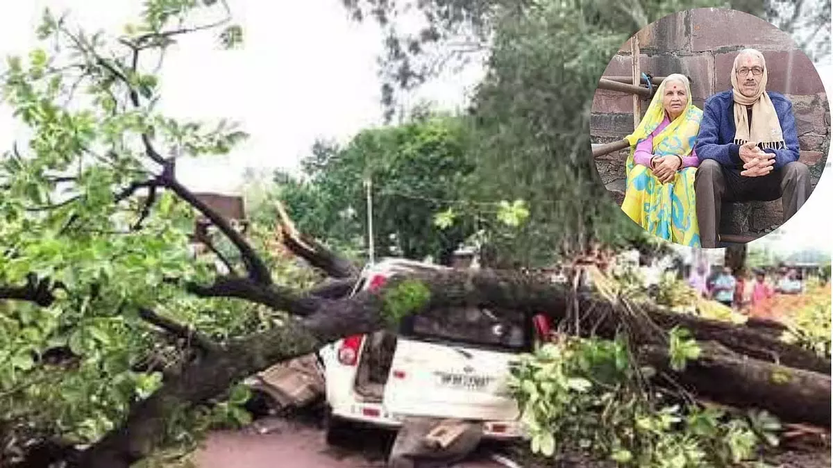 MP सतना में चलती स्कॉर्पियो पर विशाल पेड़ गिरने से सेवानिवृत्त IFS अधिकारी और पत्नी की मौत हो गई MP सतना में चलती स्कॉर्पियो पर विशाल पेड़ गिरने से सेवानिवृत्त IFS अधिकारी और पत्नी की मौत हो गई