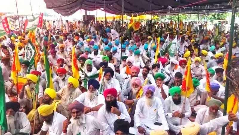 बारिश के बावजूद Punjab के 1 लाख किसानों ने ऐतिहासिक जीत का जश्न मनाया बारिश के बावजूद Punjab के 1 लाख किसानों ने ऐतिहासिक जीत का जश्न मनाया