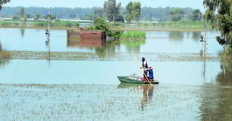 लगातार बारिश से ब्यास नदी का जलस्तर बढ़ने से Sultanpur Lodhi के 25 गांव अलर्ट पर लगातार बारिश से ब्यास नदी का जलस्तर बढ़ने से Sultanpur Lodhi के 25 गांव अलर्ट पर