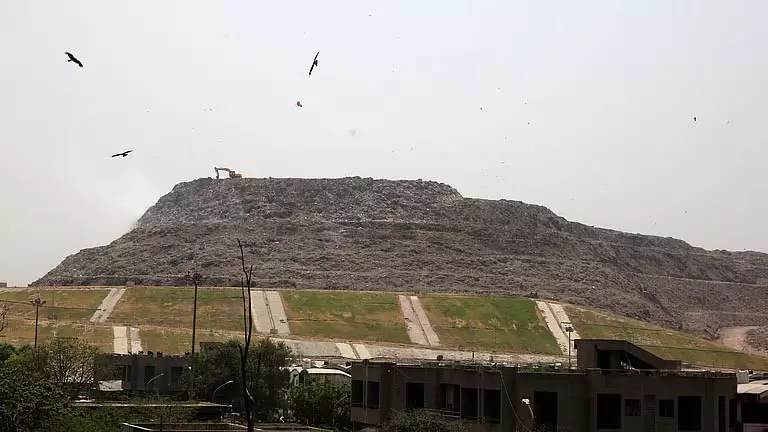 Delhi अपशिष्ट-से-ऊर्जा संयंत्रों में न्यूनतम जोखिम: CPCB Delhi अपशिष्ट-से-ऊर्जा संयंत्रों में न्यूनतम जोखिम: CPCB