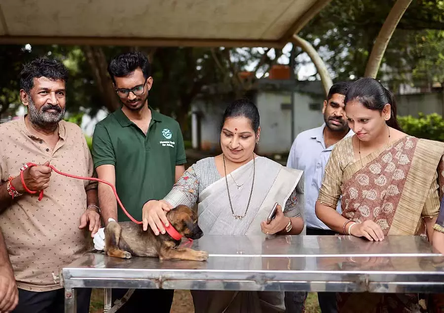 Hubli : आवारा कुत्ते को गोद लेने का अभियान शुरू किया गया Hubli : आवारा कुत्ते को गोद लेने का अभियान शुरू किया गया