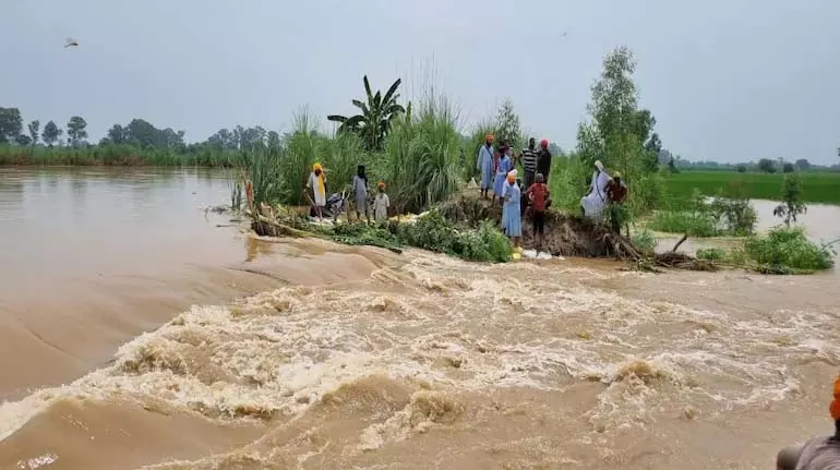 Punjab Floods: ब्यास नदी उफान पर, मंड बेल्ट में तबाही की आशंका! Punjab Floods: ब्यास नदी उफान पर, मंड बेल्ट में तबाही की आशंका!