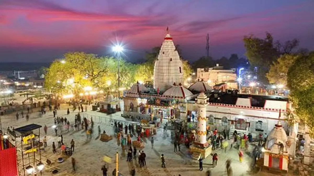 Nuakhai के लिए पवित्र सरिया धान समलेश्वरी मंदिर पहुँचा Nuakhai के लिए पवित्र सरिया धान समलेश्वरी मंदिर पहुँचा