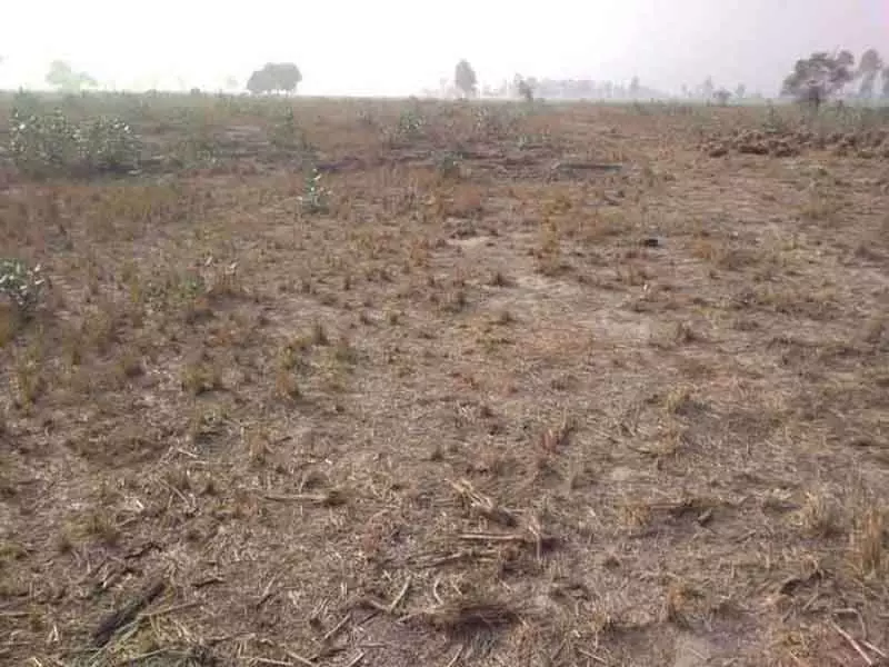 पूर्व IAS अधिकारी द्वारा पंचकूला में जमीन बेचने के लिए रिश्तेदारों को सुविधा देने संबंधी आदेश वापस लिया गया पूर्व IAS अधिकारी द्वारा पंचकूला में जमीन बेचने के लिए रिश्तेदारों को सुविधा देने संबंधी आदेश वापस लिया गया