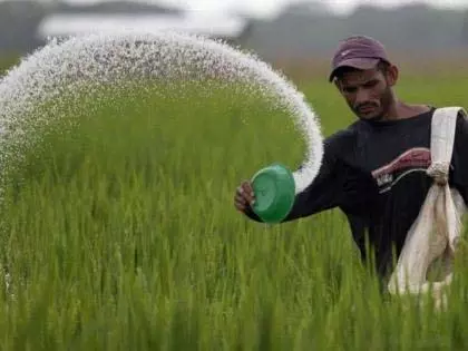 सरकार कहाँ है? किसानों को खाद की कीमतों पर लूटा जा रहा है! सरकार कहाँ है? किसानों को खाद की कीमतों पर लूटा जा रहा है!