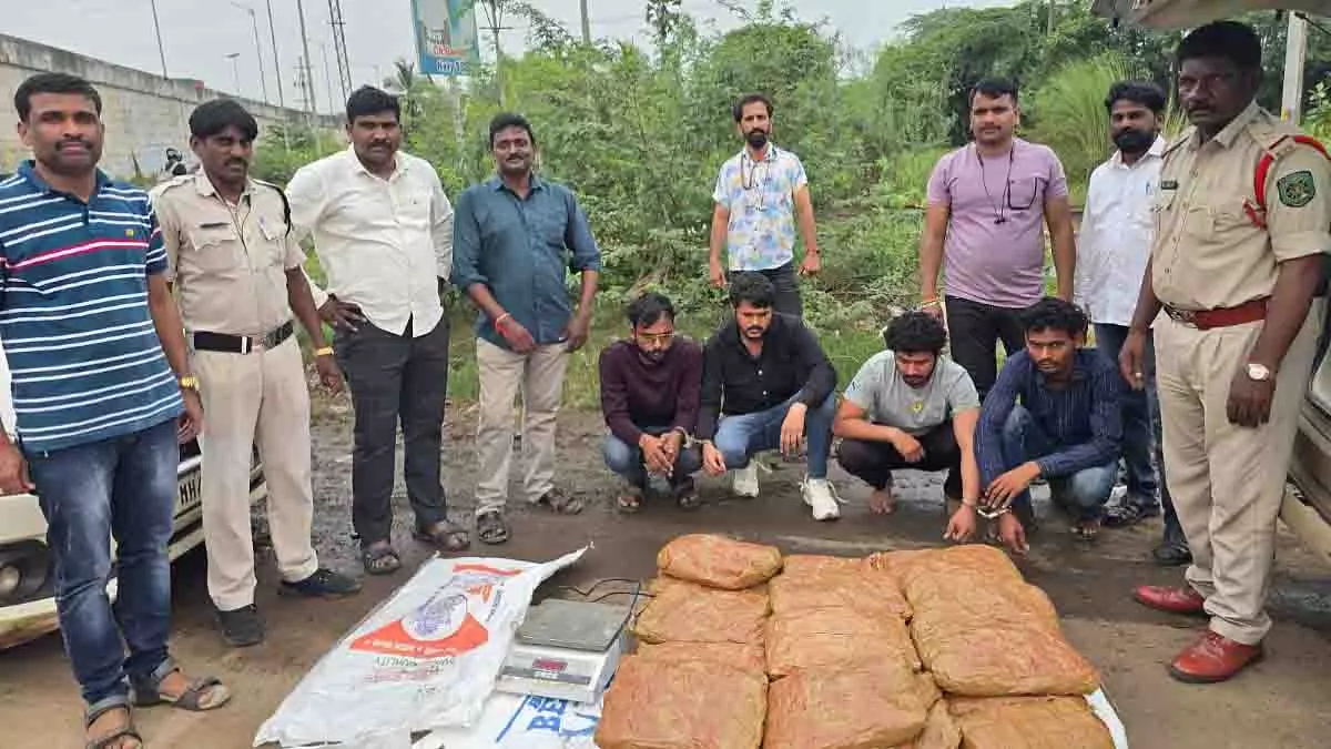 Kalyan: ड्रग्स रैकेट का पर्दाफाश, 13 तस्कर गिरफ्तार Kalyan: ड्रग्स रैकेट का पर्दाफाश, 13 तस्कर गिरफ्तार