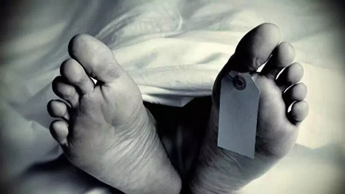 8 वर्षीय बच्ची की डेंगू से मौत 8 वर्षीय बच्ची की डेंगू से मौत