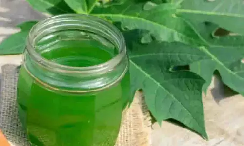 Health :पपीते के पत्ते के रस के अद्भुत स्वास्थ्य लाभ Health :पपीते के पत्ते के रस के अद्भुत स्वास्थ्य लाभ