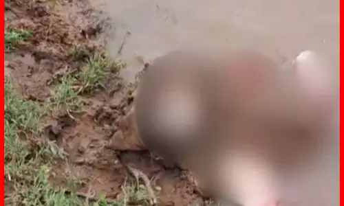 अब महिला की लाश मिली, इलाके में हड़कंप