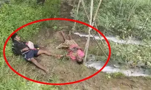 OMG! टमाटर चोरी करने निकले थे पिता-पुत्र, ऐसे चली गई जान