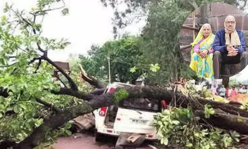 MP सतना में चलती स्कॉर्पियो पर विशाल पेड़ गिरने से सेवानिवृत्त IFS अधिकारी और पत्नी की मौत हो गई