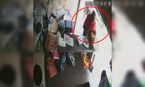 गौसेवा दान पेटी को बनाया निशाना, बुजुर्ग चोर कैमरे में रिकॉर्ड गौसेवा दान पेटी को बनाया निशाना, बुजुर्ग चोर कैमरे में रिकॉर्ड