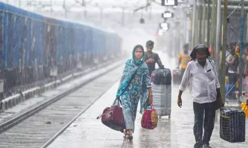 Ludhiana में 24 घंटे में 79.4 मिमी बारिश दर्ज, पंजाब कृषि विश्वविद्यालय ने किसानों को जारी की सलाह