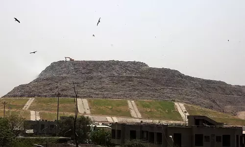 Delhi अपशिष्ट-से-ऊर्जा संयंत्रों में न्यूनतम जोखिम: CPCB Delhi अपशिष्ट-से-ऊर्जा संयंत्रों में न्यूनतम जोखिम: CPCB