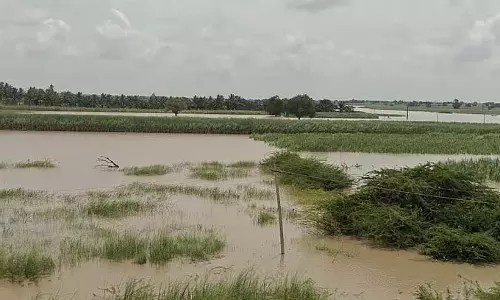 Bagalkot : फसलें जलमग्न, किसान संकट में