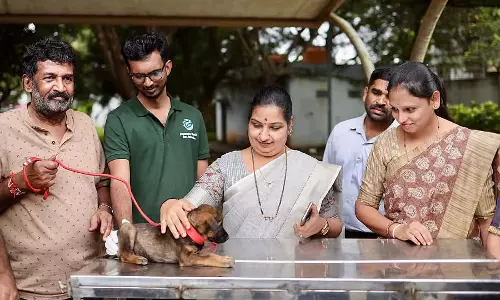 Hubli : आवारा कुत्ते को गोद लेने का अभियान शुरू किया गया