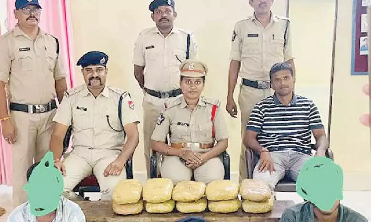 Andhra: 10 किलोग्राम गांजा ले जाने के आरोप में दो लोग गिरफ्तार
