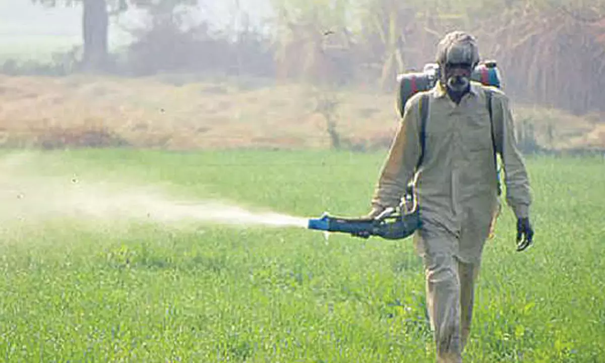 Telangana: उर्वरकों की आपूर्ति स्थिर, यूरिया सबसे बड़ी चिंता का विषय Telangana: उर्वरकों की आपूर्ति स्थिर, यूरिया सबसे बड़ी चिंता का विषय