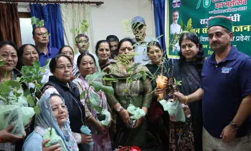 बदलाव के पौधे, Himachal का वन क्षेत्र और ग्रामीण भागीदारी पर दांव बदलाव के पौधे, Himachal का वन क्षेत्र और ग्रामीण भागीदारी पर दांव