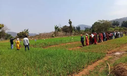 ओडिशा ने किसान पंजीकरण में बनाया रिकॉर्ड, 18.5 लाख से अधिक किसान हुए पंजीकृत: Minister