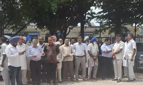 भुगतान न होने और अनसुनी, Himachal के गेहूं किसान संकट के कगार पर भुगतान न होने और अनसुनी, Himachal के गेहूं किसान संकट के कगार पर