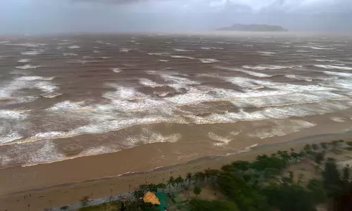 Vietnam तट के निकट तूफान काजीकी के लिए तैयार Vietnam तट के निकट तूफान काजीकी के लिए तैयार