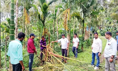 जंगली हाथियों द्वारा नुकसान: नेताओं का दौरा जंगली हाथियों द्वारा नुकसान: नेताओं का दौरा