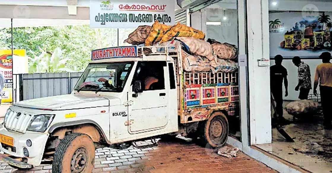 Kannur में केराफेड खरीद केंद्र से नारियल किसानों को राहत मिली Kannur में केराफेड खरीद केंद्र से नारियल किसानों को राहत मिली