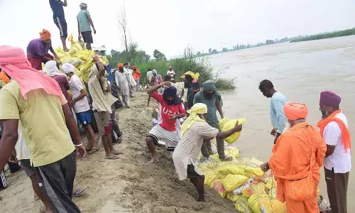 Kapurthala में उफनती ब्यास नदी ने बांध तोड़े, 30,000 एकड़ की फसलें प्रभावित