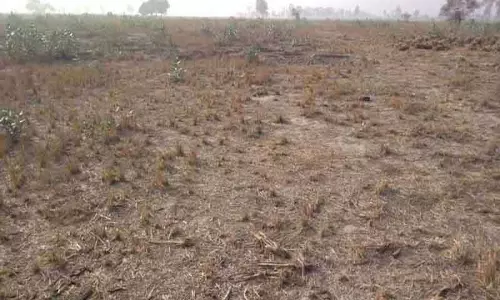 पूर्व IAS अधिकारी द्वारा पंचकूला में जमीन बेचने के लिए रिश्तेदारों को सुविधा देने संबंधी आदेश वापस लिया गया