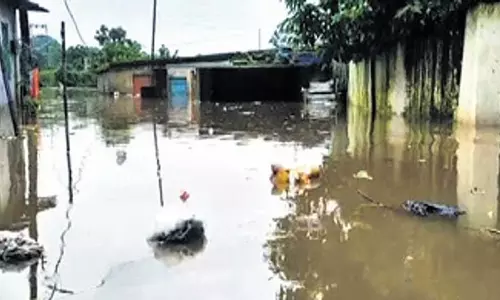 भारी बारिश के बीच राउरकेला में 200 लोगों को सुरक्षित स्थानों पर पहुँचाया गया